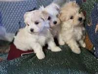 processed/c8007c18-33cd-436b-99a3-f417010bac58/facility/393ef8c8-5b6d-47ed-9d25-eb2f022f7238