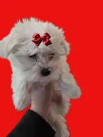 processed/c8007c18-33cd-436b-99a3-f417010bac58/facility/7c6db29a-d550-49af-9da9-33cf5f372d20