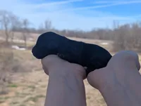 Trudy - AKC - Portuguese water dog , a female Portuguese Water Dog for sale in Kingston, MO – Photo 3 of 5