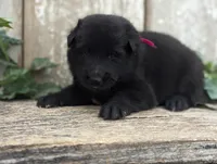 processed/c8044af6-a256-4177-bce8-6ebd3857ac05/listing/34fdb6f3-2efe-4507-9037-bf4dad781d36/911b8303-5f20-45ba-ac1a-e0c7b388a72f