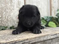 processed/c8044af6-a256-4177-bce8-6ebd3857ac05/listing/34fdb6f3-2efe-4507-9037-bf4dad781d36/9d2fada7-7032-475a-b9b8-e186219d1233