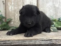 processed/c8044af6-a256-4177-bce8-6ebd3857ac05/listing/34fdb6f3-2efe-4507-9037-bf4dad781d36/bc5cdf98-c79b-42bf-a845-fa2c509bebde