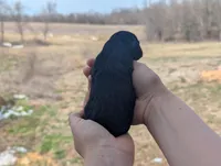 Una - AKC - Portuguese water dog , a female Portuguese Water Dog for sale in Kingston, MO – Photo 7 of 9