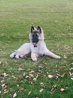 processed/c8044af6-a256-4177-bce8-6ebd3857ac05/listing/a40a9d21-cd6c-48c0-b746-37aef09c6054/1e5b2923-5ea7-4454-9db1-0cc6c959f5ad