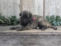 processed/c8044af6-a256-4177-bce8-6ebd3857ac05/listing/a40a9d21-cd6c-48c0-b746-37aef09c6054/22b65a8a-3644-4773-96f0-4b14c172d90b