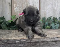 processed/c8044af6-a256-4177-bce8-6ebd3857ac05/listing/a40a9d21-cd6c-48c0-b746-37aef09c6054/30879ba1-13e5-4362-9c91-0ad7e375cf18