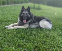 processed/c8044af6-a256-4177-bce8-6ebd3857ac05/listing/a40a9d21-cd6c-48c0-b746-37aef09c6054/43b0556b-3ebf-4c88-9a77-aa172c2f6307