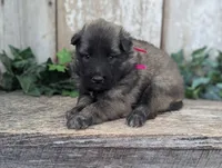 processed/c8044af6-a256-4177-bce8-6ebd3857ac05/listing/a40a9d21-cd6c-48c0-b746-37aef09c6054/6df710b8-353e-4715-bac1-6f192ca05c62