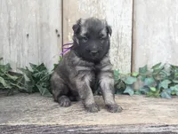 processed/c8044af6-a256-4177-bce8-6ebd3857ac05/listing/a40a9d21-cd6c-48c0-b746-37aef09c6054/835ec137-a8fa-4cb7-8bf8-7dfca53030b5