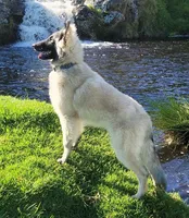 processed/c8044af6-a256-4177-bce8-6ebd3857ac05/listing/a40a9d21-cd6c-48c0-b746-37aef09c6054/89ddea82-511b-4f02-9387-8044df9b5983