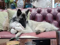 processed/c8044af6-a256-4177-bce8-6ebd3857ac05/listing/a40a9d21-cd6c-48c0-b746-37aef09c6054/ab7e5a01-75a8-4ba9-bd67-c5c236cd9a1f