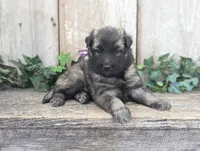 processed/c8044af6-a256-4177-bce8-6ebd3857ac05/listing/a40a9d21-cd6c-48c0-b746-37aef09c6054/e495600f-49de-4adc-a773-97b1a74f3d83