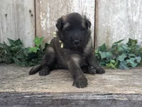 processed/c8044af6-a256-4177-bce8-6ebd3857ac05/listing/be207284-d7ec-4239-93df-2f45bbe7a27a/279a3bc4-7c1a-4c8d-8f8b-0317d0a8a5de