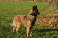 processed/c8044af6-a256-4177-bce8-6ebd3857ac05/listing/be207284-d7ec-4239-93df-2f45bbe7a27a/60e3cb5a-ea77-4d62-88f2-373d98ad301d