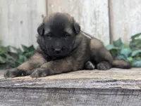 processed/c8044af6-a256-4177-bce8-6ebd3857ac05/listing/be207284-d7ec-4239-93df-2f45bbe7a27a/9db9790c-5ac5-4452-9729-861fd1956543