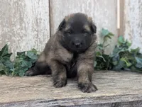 processed/c8044af6-a256-4177-bce8-6ebd3857ac05/listing/be207284-d7ec-4239-93df-2f45bbe7a27a/af29fbae-d382-42bc-8826-3f0783f711e5