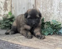 processed/c8044af6-a256-4177-bce8-6ebd3857ac05/listing/be207284-d7ec-4239-93df-2f45bbe7a27a/b0dc602c-b925-49ad-a4e5-737675b20fc1