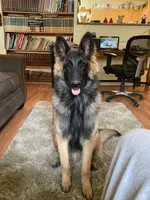 processed/c8044af6-a256-4177-bce8-6ebd3857ac05/listing/be207284-d7ec-4239-93df-2f45bbe7a27a/b17b57ed-06e9-43d7-804f-b90b46d82e58