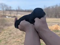 Tux - AKC - Portuguese water dog , a male Portuguese Water Dog for sale in Kingston, MO – Photo 4 of 5