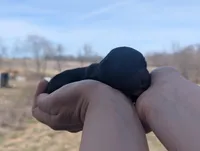 Tux - AKC - Portuguese water dog , a male Portuguese Water Dog for sale in Kingston, MO – Photo 3 of 5