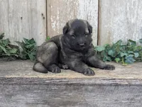 processed/c8044af6-a256-4177-bce8-6ebd3857ac05/listing/ff420bfb-6f67-4e52-bc17-36265266d0a1/54fd33bc-fa66-4348-a729-b7824e1deb6c