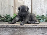 processed/c8044af6-a256-4177-bce8-6ebd3857ac05/listing/ff420bfb-6f67-4e52-bc17-36265266d0a1/6e05bdf9-4d9b-497b-9eab-84060deeb41c