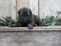 processed/c8044af6-a256-4177-bce8-6ebd3857ac05/listing/ff420bfb-6f67-4e52-bc17-36265266d0a1/cbfce60c-80a7-43ee-972a-c14601bf9704