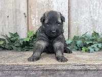 processed/c8044af6-a256-4177-bce8-6ebd3857ac05/listing/ff420bfb-6f67-4e52-bc17-36265266d0a1/e8c49009-1182-420d-8b42-e18aa77b6bf4