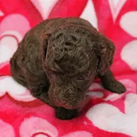 processed/c80f322c-8335-452e-92ad-beeabbe42ace/listing/382fb9bd-63e6-4b6a-80a4-44c95a0f0f26/01215fed-6b03-46d7-90c3-66c2b7e6632f