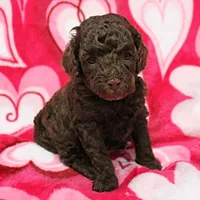 processed/c80f322c-8335-452e-92ad-beeabbe42ace/listing/382fb9bd-63e6-4b6a-80a4-44c95a0f0f26/03c395b8-2518-44b3-8734-440c028faa3e