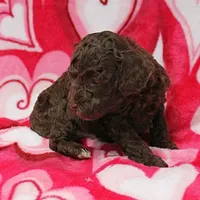 processed/c80f322c-8335-452e-92ad-beeabbe42ace/listing/382fb9bd-63e6-4b6a-80a4-44c95a0f0f26/4e7b5719-4382-499b-9bc2-dcb5d2c61e6b