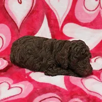 processed/c80f322c-8335-452e-92ad-beeabbe42ace/listing/382fb9bd-63e6-4b6a-80a4-44c95a0f0f26/6add0622-2f7c-4f79-b72d-e4bd3b5138e1