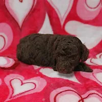 processed/c80f322c-8335-452e-92ad-beeabbe42ace/listing/382fb9bd-63e6-4b6a-80a4-44c95a0f0f26/6b67c412-0b20-41e2-bdb7-d31a8671ceb6