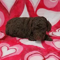 processed/c80f322c-8335-452e-92ad-beeabbe42ace/listing/382fb9bd-63e6-4b6a-80a4-44c95a0f0f26/b817a3e6-eef7-459f-938b-018593c147a0