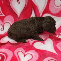 processed/c80f322c-8335-452e-92ad-beeabbe42ace/listing/382fb9bd-63e6-4b6a-80a4-44c95a0f0f26/c5335c5b-aa7d-487c-bab6-78d929e2384b