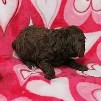 processed/c80f322c-8335-452e-92ad-beeabbe42ace/listing/382fb9bd-63e6-4b6a-80a4-44c95a0f0f26/d48c1aeb-e835-4e12-8a2b-3624610e4d7f