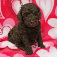 processed/c80f322c-8335-452e-92ad-beeabbe42ace/listing/382fb9bd-63e6-4b6a-80a4-44c95a0f0f26/f7813b8e-0b24-424f-8fd0-f9d55e2a408d