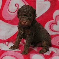 processed/c80f322c-8335-452e-92ad-beeabbe42ace/listing/51376f72-9fa9-418b-8591-2e578ffaef95/07bc76e3-f260-4480-a023-9c45ddc49860