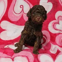 processed/c80f322c-8335-452e-92ad-beeabbe42ace/listing/51376f72-9fa9-418b-8591-2e578ffaef95/0991b27e-77f6-48a8-bad0-d535b689f2f6