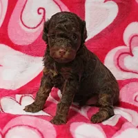 processed/c80f322c-8335-452e-92ad-beeabbe42ace/listing/51376f72-9fa9-418b-8591-2e578ffaef95/151fd84c-6225-4833-86f4-e68a211d9b04