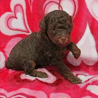 processed/c80f322c-8335-452e-92ad-beeabbe42ace/listing/51376f72-9fa9-418b-8591-2e578ffaef95/29acb20d-9852-4a51-8c03-162fff530031