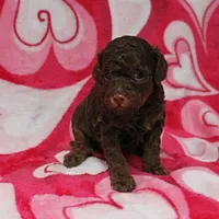 processed/c80f322c-8335-452e-92ad-beeabbe42ace/listing/51376f72-9fa9-418b-8591-2e578ffaef95/96ab1f5b-c631-4ed3-a136-fa93a82d1a0e