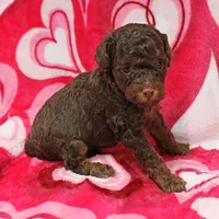 processed/c80f322c-8335-452e-92ad-beeabbe42ace/listing/51376f72-9fa9-418b-8591-2e578ffaef95/a98a7cc8-1119-48f4-82ea-38de51cff45d