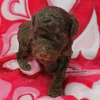 processed/c80f322c-8335-452e-92ad-beeabbe42ace/listing/51376f72-9fa9-418b-8591-2e578ffaef95/ae2c9b2f-b292-412a-85e3-46be13a4afa6