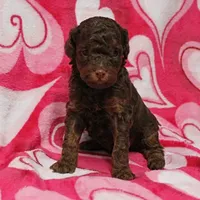 processed/c80f322c-8335-452e-92ad-beeabbe42ace/listing/51376f72-9fa9-418b-8591-2e578ffaef95/b9b8ed5f-2fac-4462-9e08-372feb5a11e6