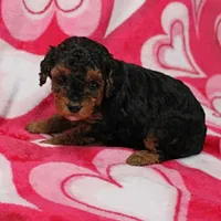 processed/c80f322c-8335-452e-92ad-beeabbe42ace/listing/931d1775-1426-4a1b-9af1-583bb9c383ae/3889edaa-6560-4968-8eca-11b505ae2773