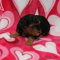 processed/c80f322c-8335-452e-92ad-beeabbe42ace/listing/931d1775-1426-4a1b-9af1-583bb9c383ae/58ceb94f-77cb-4db8-8dc1-89baffeea542