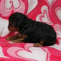 processed/c80f322c-8335-452e-92ad-beeabbe42ace/listing/931d1775-1426-4a1b-9af1-583bb9c383ae/814aa62e-0de0-4988-b862-361ba9ce6bb4