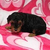 processed/c80f322c-8335-452e-92ad-beeabbe42ace/listing/931d1775-1426-4a1b-9af1-583bb9c383ae/a2ee57d4-19f4-4cc0-9782-0c13a0c972bf