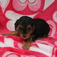 processed/c80f322c-8335-452e-92ad-beeabbe42ace/listing/931d1775-1426-4a1b-9af1-583bb9c383ae/a4a0b0b1-780d-477f-aed3-d14802a791d1